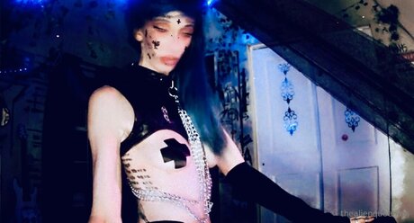 Aliengirlalt Free free star galleries