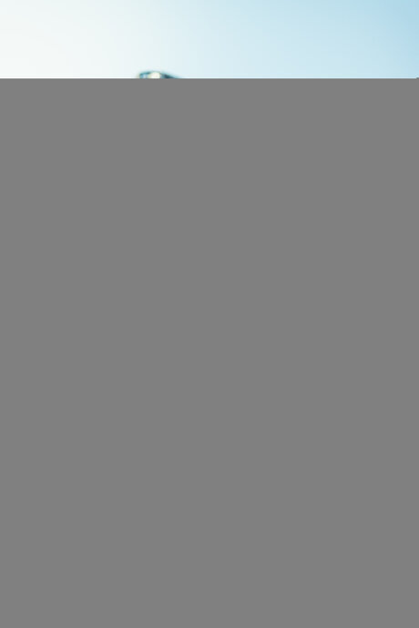 Emreidfree star nice img