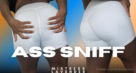 Findomdictator art pornstar photo