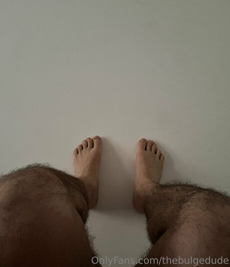 Thebulgedude actress image