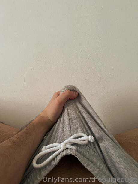 Thebulgedude best star pics