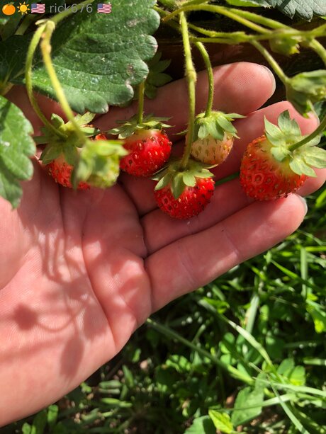 black teacher onlyfans perfect archive