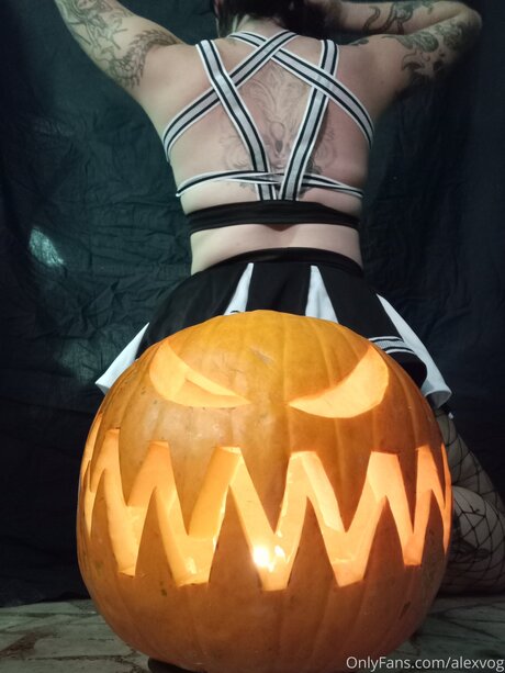 Alexvog porn star galleries