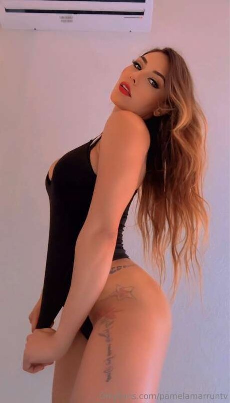 Pamelamarruntv star porn picture