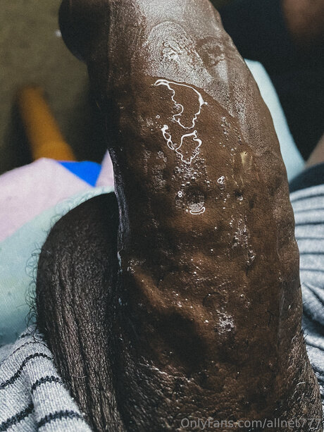 Allnet777 pornstar art image