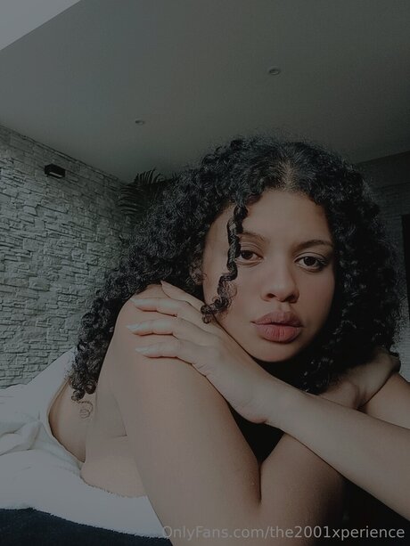 The2001xperience model art img