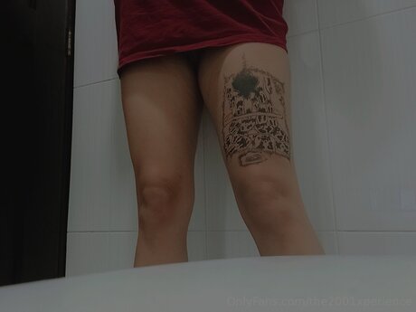 The2001xperience pornstar pictures