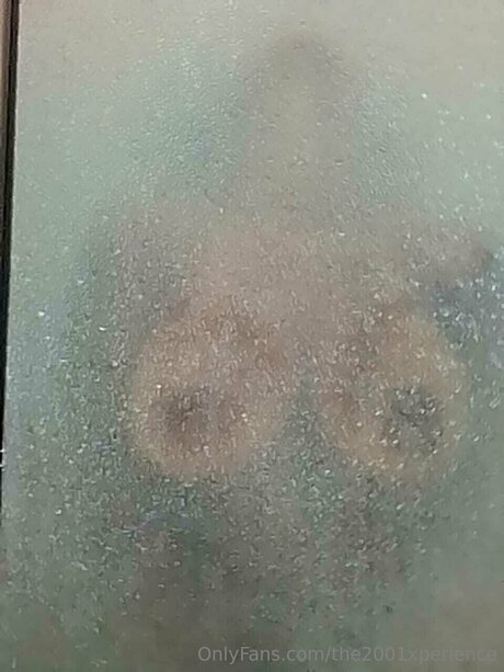 The2001xperience perfect pornstar gallery