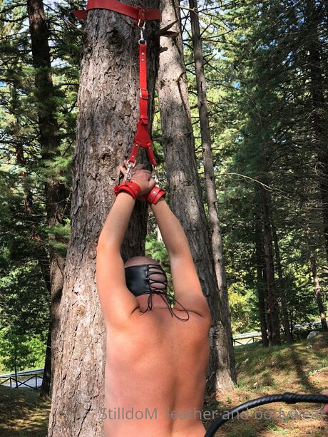 Stilldom pretty actress picture