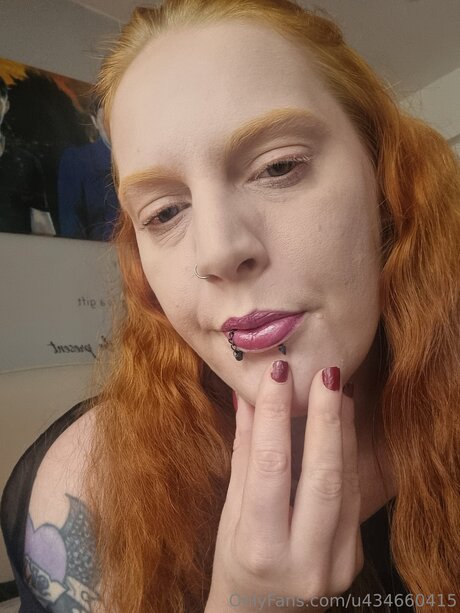 U434660415 star free picture