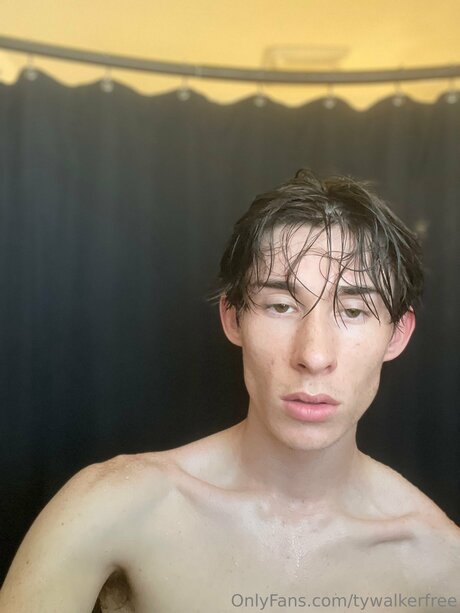 Tywalkerfree star best gallery