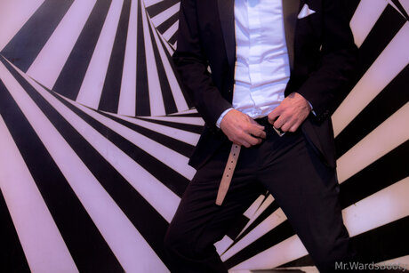 Mrward88 pornstar art pic