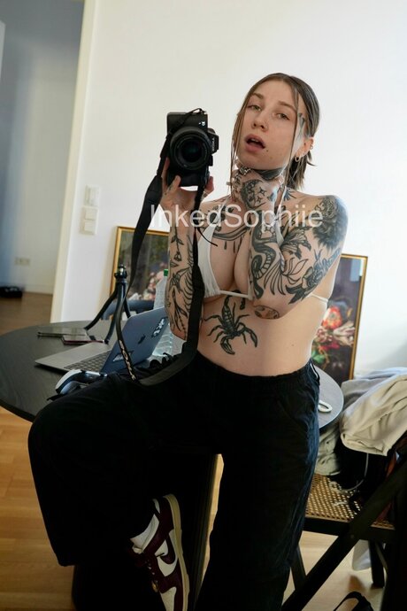 Inkedsophiiefree pornstar top photo