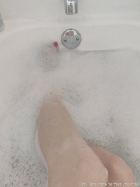 Perfectlypointed model free archive