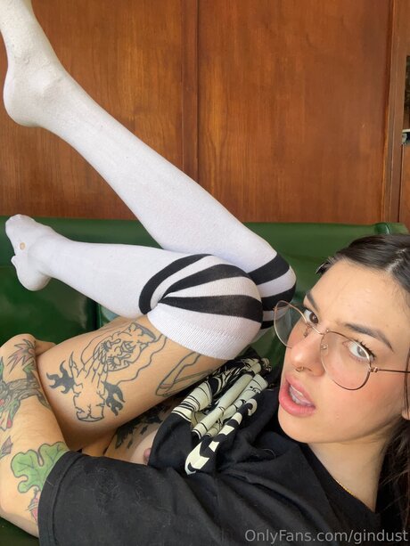 Gindust art pornstar galleries