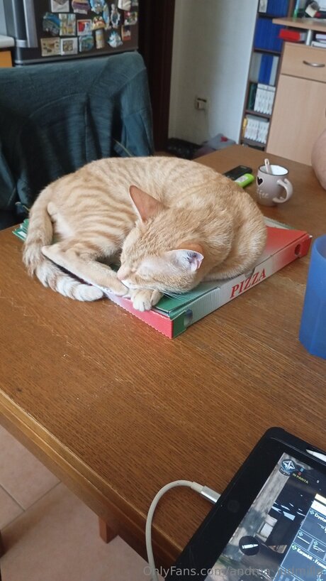 Andrea Ludmilla nude actress photo