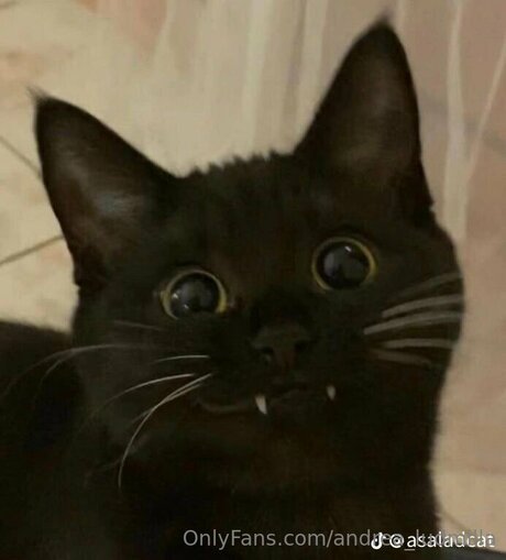 Andrea Ludmilla art actress images