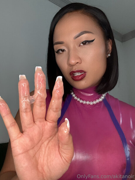 Akitanoire model gallery