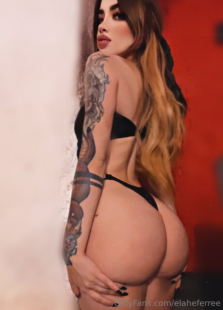 Elaheferree hd pornstar picture