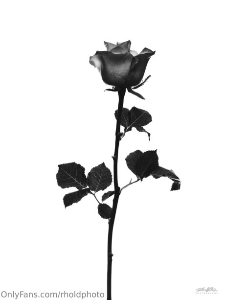 Rholdphoto hd model pics