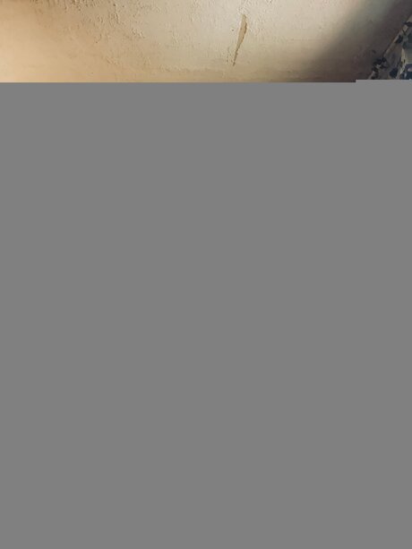 Sexyfoxy Ana sex model photo