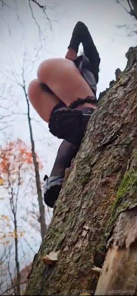 Aikodivinex naked model images