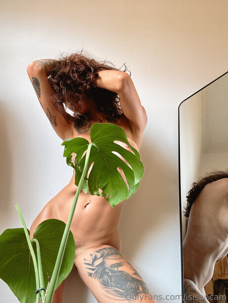 Isisoncam hd model gallery