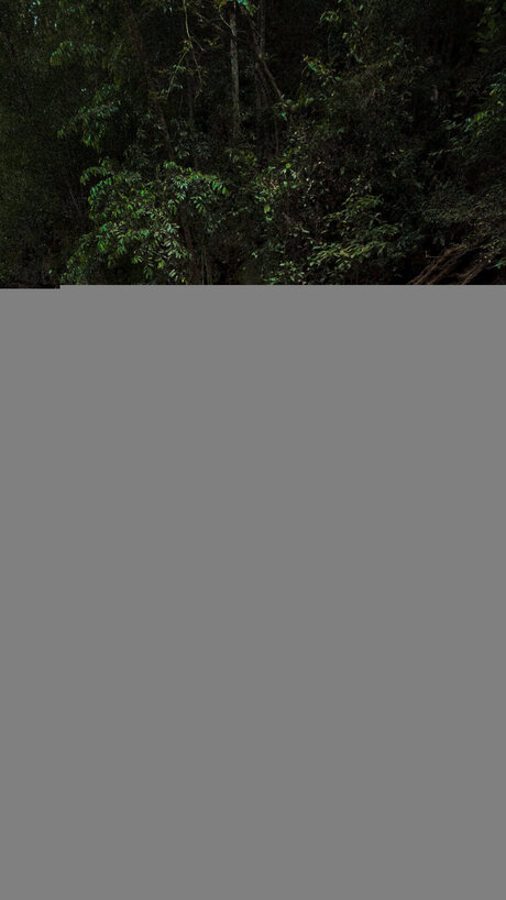 Isisoncam nudes actress image