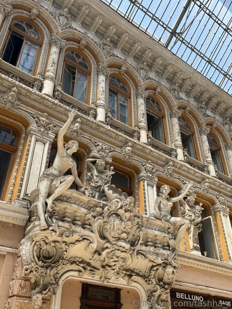 Tashha S hd star picture