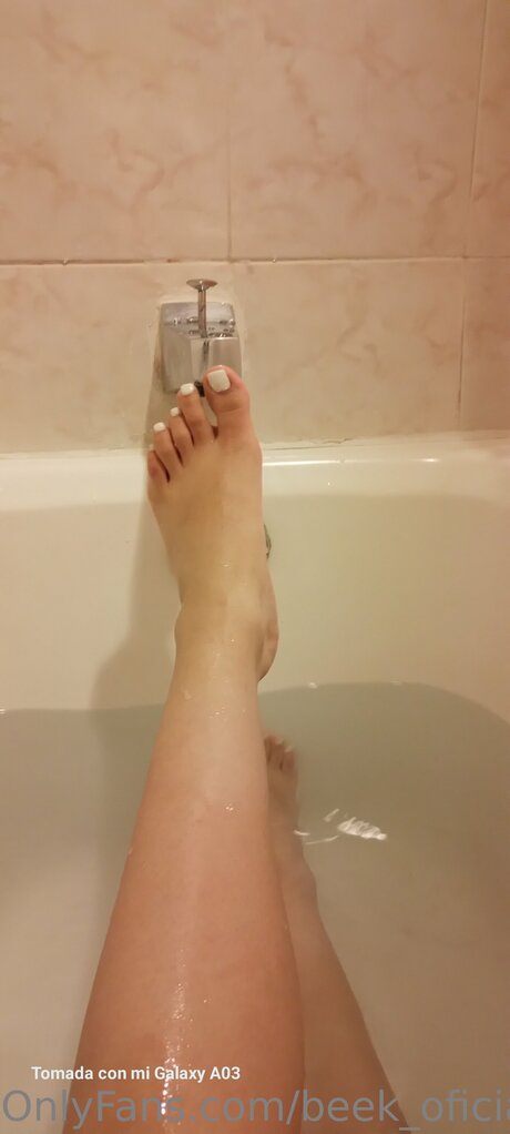 Beek Oficial perfect star archive