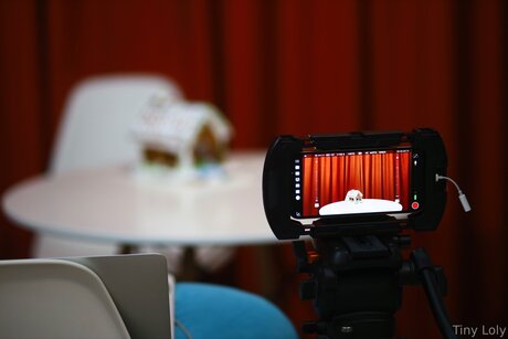 Tiny Loly sexy star images