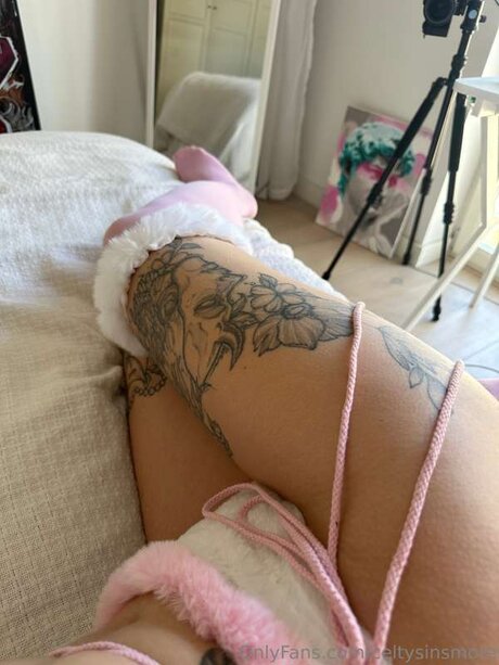 Celtysinsmore art pornstar galleries