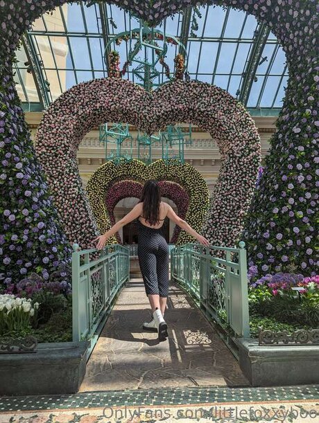 Littlefoxxyboo best model gallery