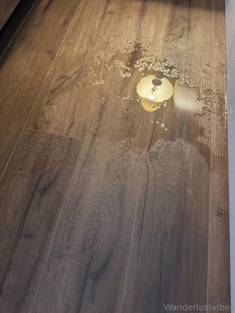 Wanderlustvibes star adult pics