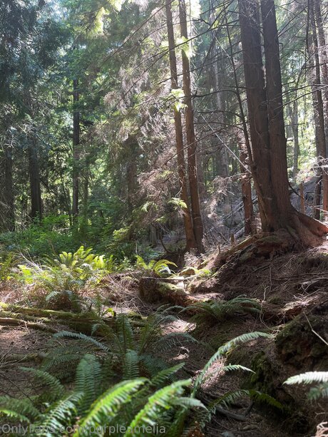 big tits mature onlyfans perfect photo