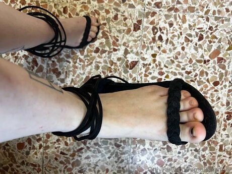 Melitagreyy star hd picture