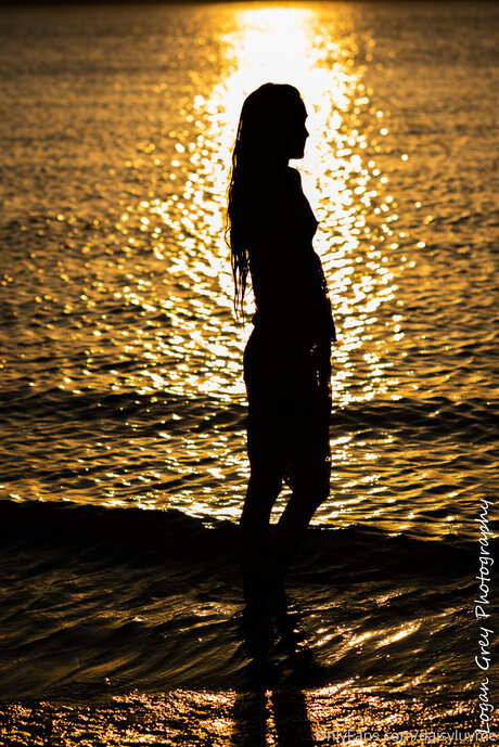 Daisyluvme top pornstar archive