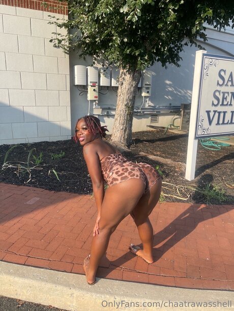 Chaatrawasshell nude star photos