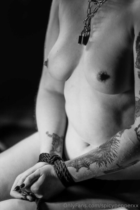 Spicypepperxx art star pictures