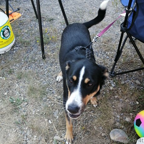 Submissiv3 Br4t pornstar nudes pic