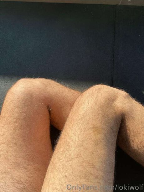 Lokiwolf top star gallery