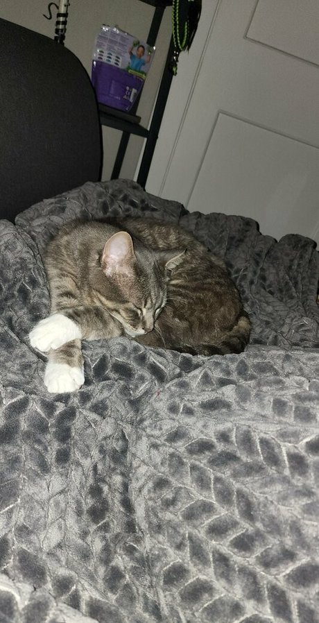 grandma onlyfans pornos archive