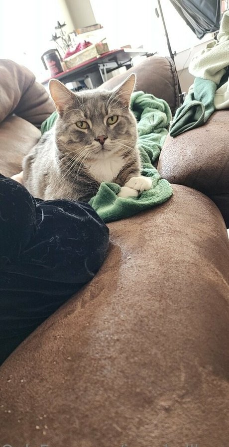 izzy hellbourne free actress pictures