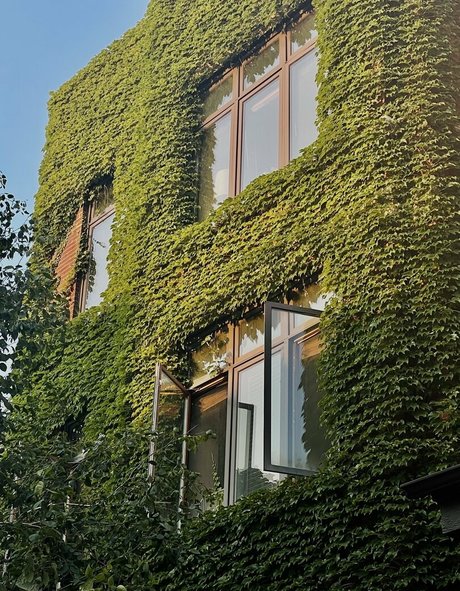 naughty onlyfans free nude images