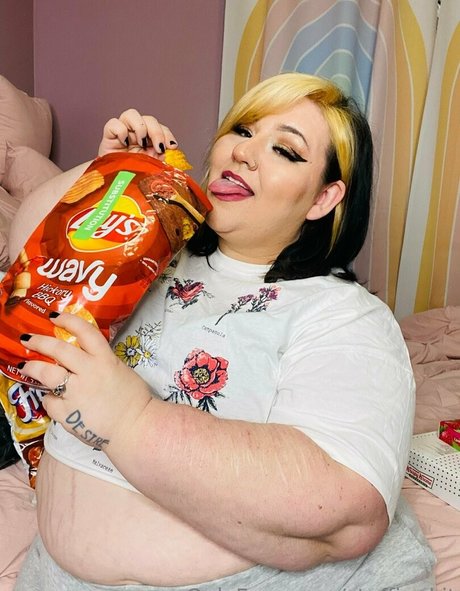 stuffingkit Photo Gallery