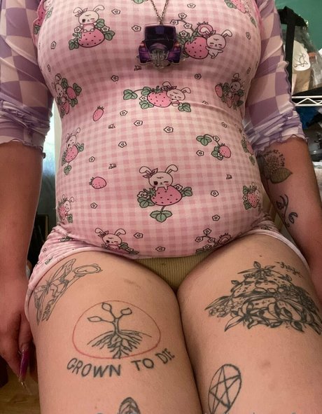 rollerdamefree model top archive