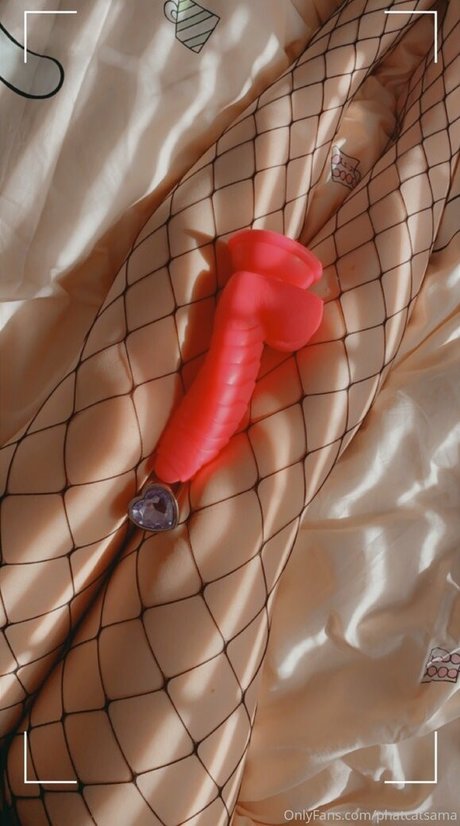 phatcatsama hd star archive