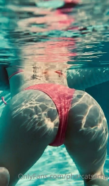 phatcatsama pornstar hd galleries