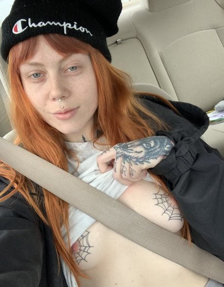 Lazybutthead star perfect archive