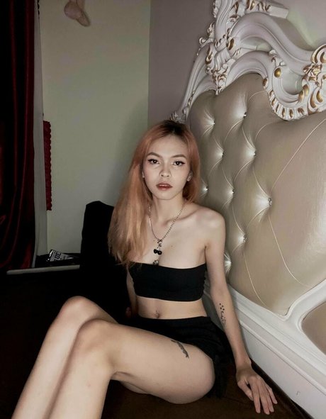 onlyvideos art actress photos